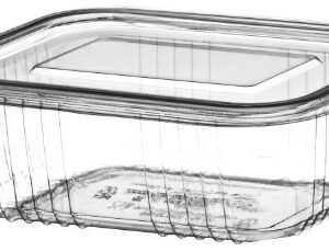 PLASTIC HINGED SALAD CONTAINERS
